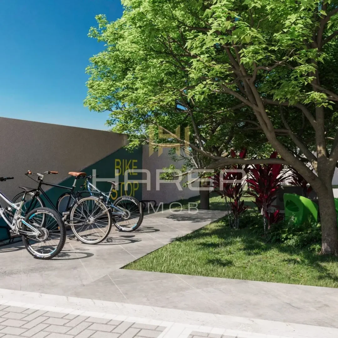 bikes